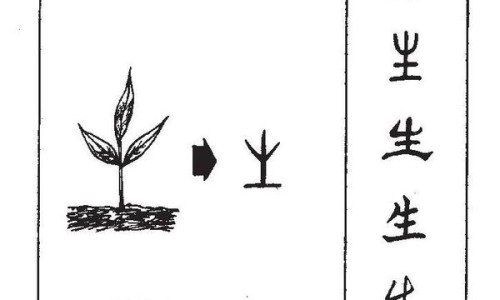南瓜花生粥的功效和禁忌-南瓜花生粥的功效网 - 花生米南瓜粥的做法,南瓜花生粥的功效和禁忌