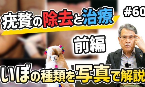 南瓜花生粥的功效与作用-南瓜花生粥的功效网 - 花生米南瓜粥的做法,南瓜花生粥的功效和禁忌
